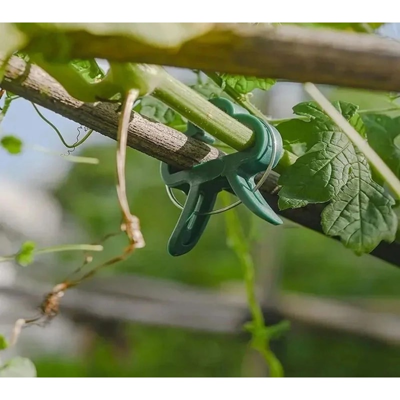 20 Pack Plastic Plant Clips Butterfly Orchid Garden Clamps For Tomato Vines And Stem Support 4