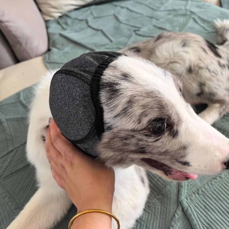 Dog Noise Reduction Ear Muffs Waterproof Calming Headgear For Grooming Swimming And Stress Relief 3