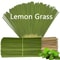 Lemongrass Oil Burning Stick With 45Minute Burn Time For Home Camping And Outdoor Use 2