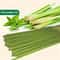 Lemongrass Oil Burning Stick With 45Minute Burn Time For Home Camping And Outdoor Use 6