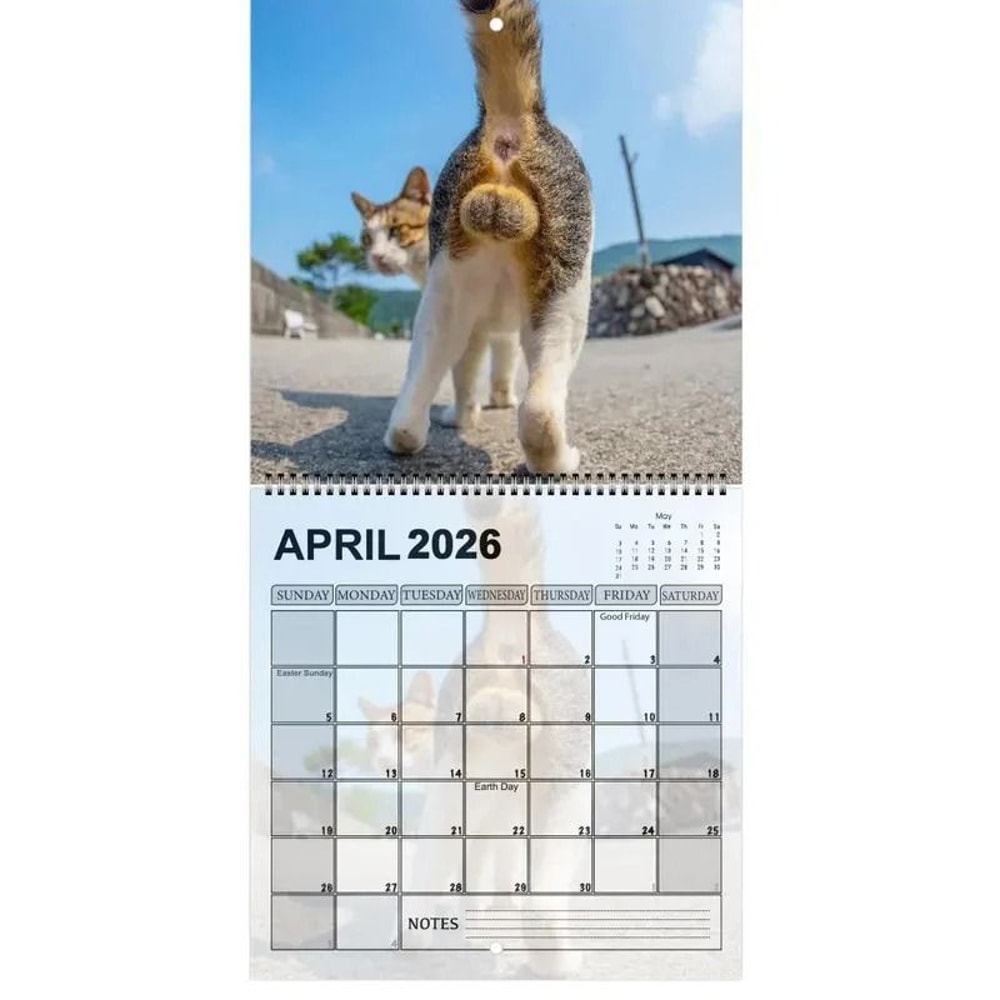 Funny 2026 Cats Buttholes Calendar Unique Humorous Monthly Planner For Gifting And Decor 1