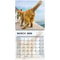 Funny 2026 Cats Buttholes Calendar Unique Humorous Monthly Planner For Gifting And Decor 3