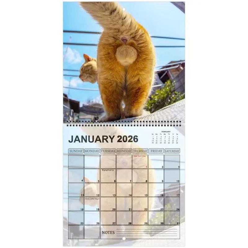 Funny 2026 Cats Buttholes Calendar Unique Humorous Monthly Planner For Gifting And Decor 4