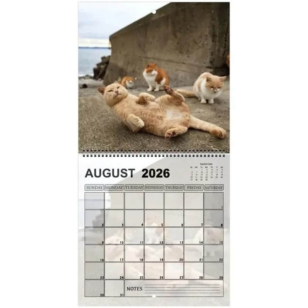 Funny 2026 Cats Buttholes Calendar Unique Humorous Monthly Planner For Gifting And Decor 5