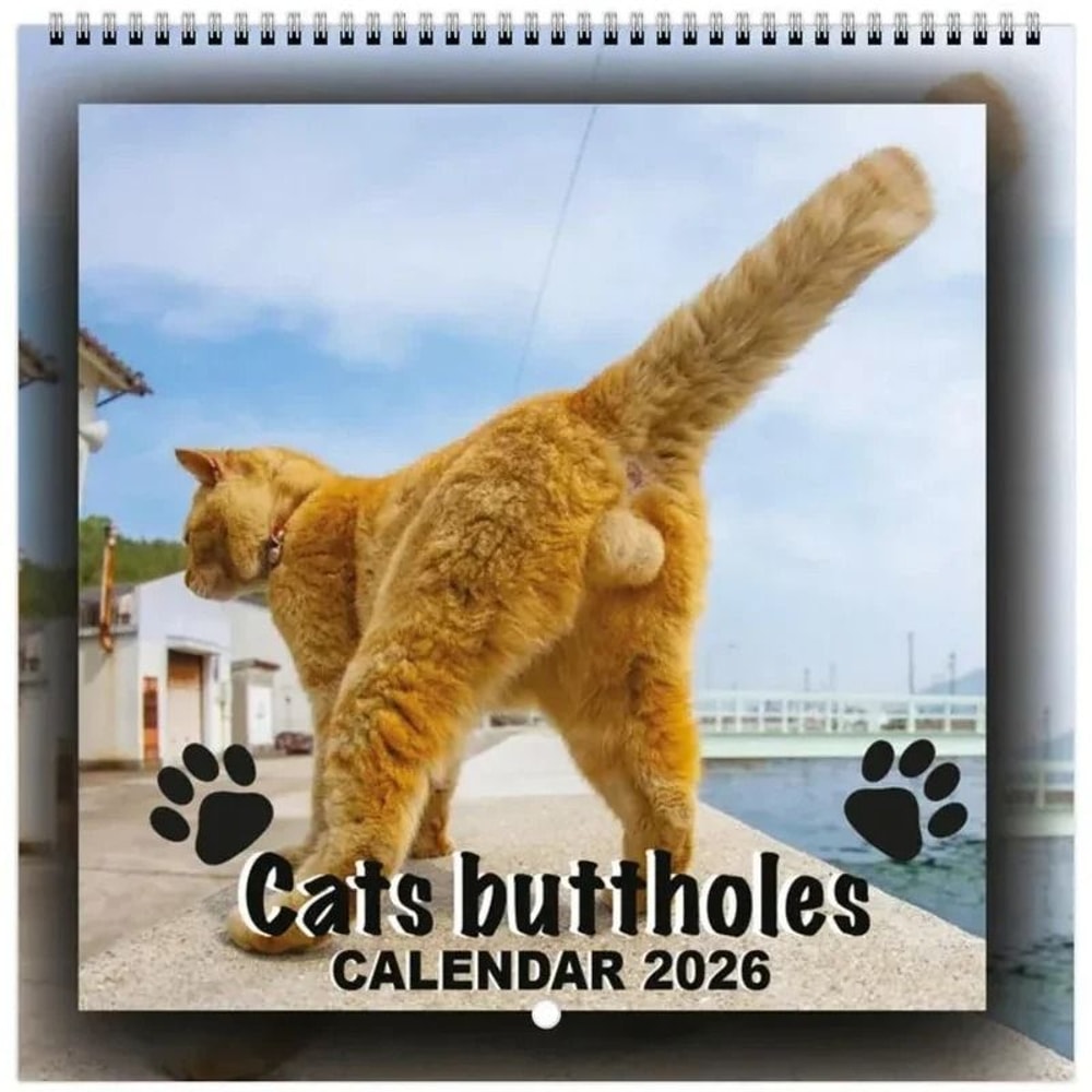 Funny 2026 Cats Buttholes Calendar Unique Humorous Monthly Planner For Gifting And Decor 6