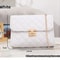 Embroidered Checkered Crossbody Chain Bag 10