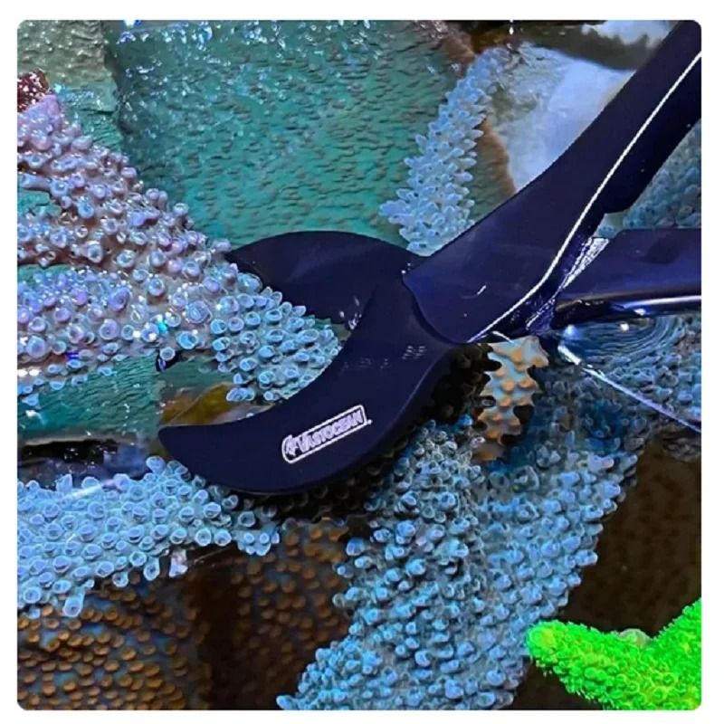 Professional Stainless Steel Coral Fragging Scissors 3