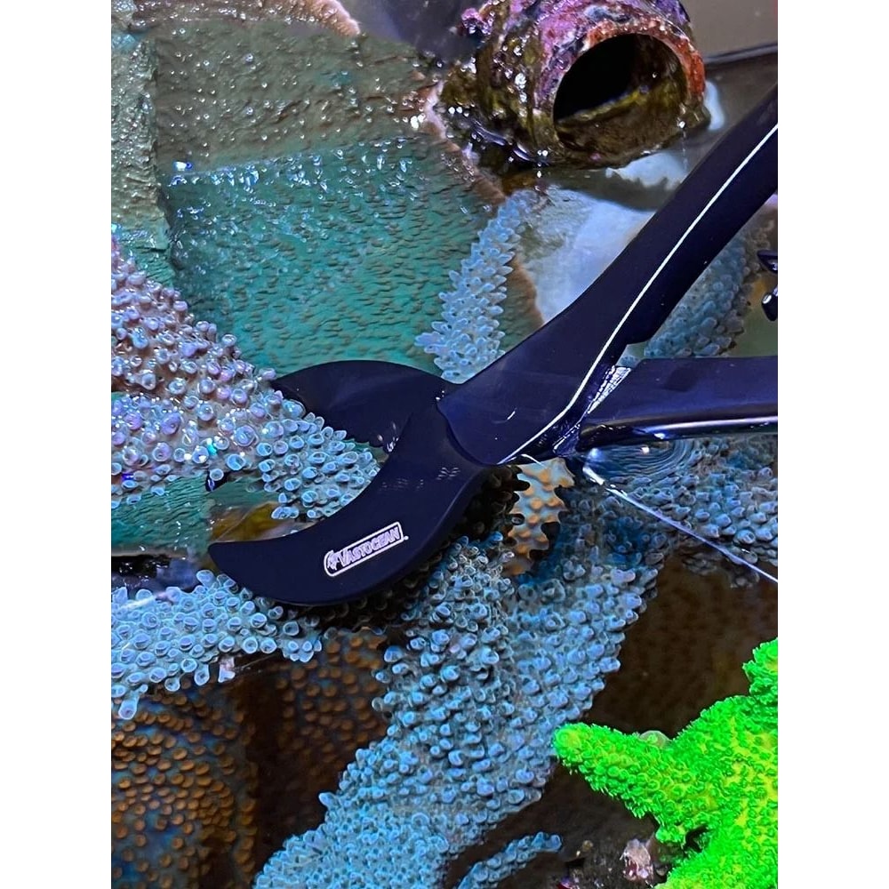 Professional Stainless Steel Coral Fragging Scissors 2