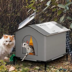 all-weather outdoor insulated pet shelter
