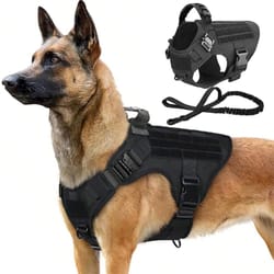 professional tactical dog harness and training leash set