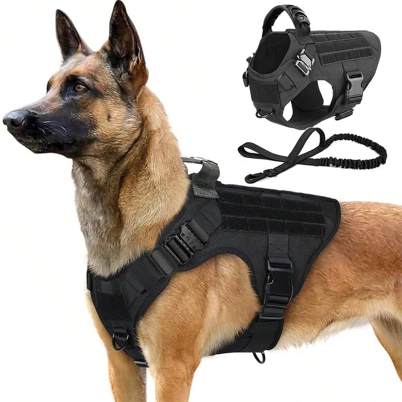 Professional Tactical Dog Harness And Training Leash Set 0