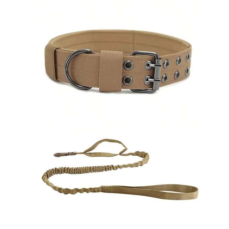 Professional Heavy Duty Tactical Dog Collar And Training Leash Set 9