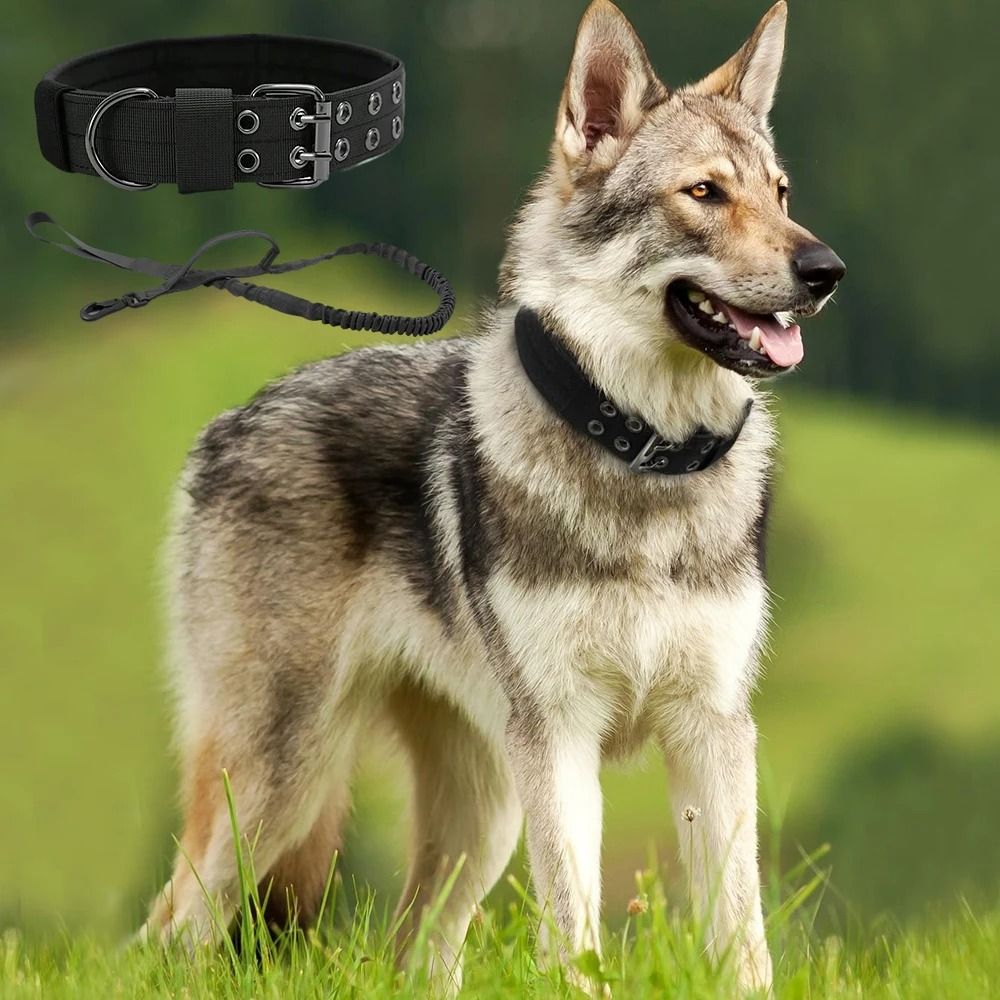 Professional Heavy Duty Tactical Dog Collar And Training Leash Set 4
