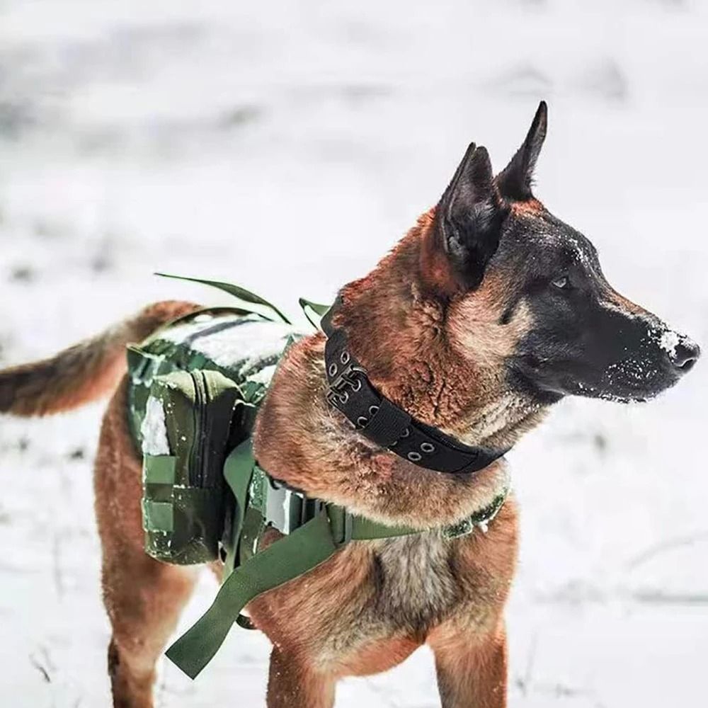 Professional Heavy Duty Tactical Dog Collar And Training Leash Set 6