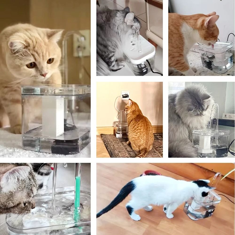 Automatic UltraQuiet Transparent Pet Water Fountain 3