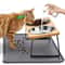 Professional Elevated Tilted Pet Feeder With Spill Proof Mat 0