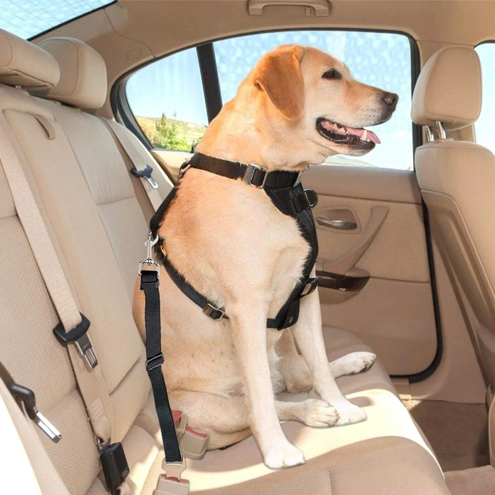 Universal Adjustable Nylon Pet Safety Seat Belt 5