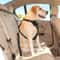 Universal Adjustable Nylon Pet Safety Seat Belt 5