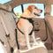 Universal Adjustable Nylon Pet Safety Seat Belt 5