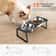 Professional Elevated 15 Degree Tilted Stainless Steel Pet Feeder 2