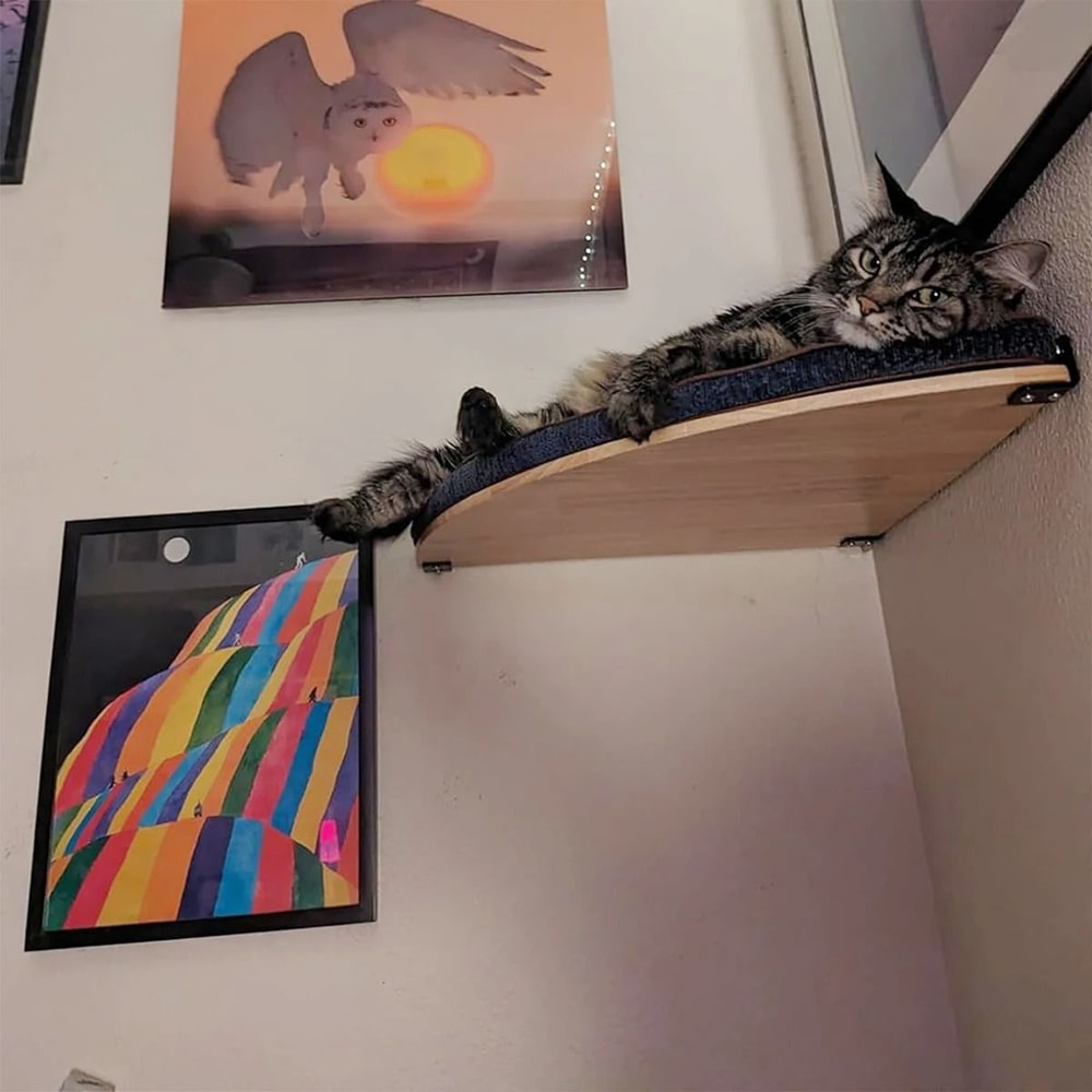 Professional Wall Mounted Corner Cat Climbing Shelf And Perch 2