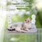 Assembly Free Folding Cat Window Hammock 3