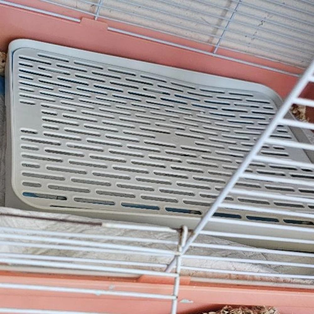 Professional Rabbit And Small Pet Corner Litter Box 5