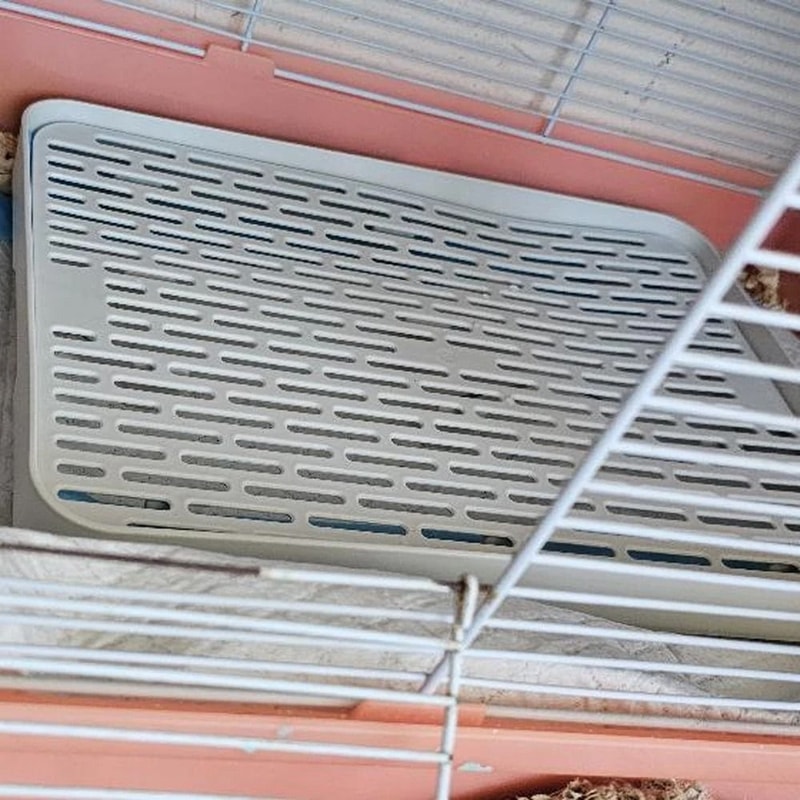 Professional Rabbit And Small Pet Corner Litter Box 5