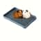 Professional Rabbit And Small Pet Corner Litter Box 6