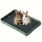 Professional Rabbit And Small Pet Corner Litter Box 7