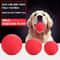 Professional Heavy Duty Indestructible Solid Rubber Dog Ball 1