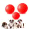 Professional Heavy Duty Indestructible Solid Rubber Dog Ball 2