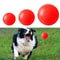 Professional Heavy Duty Indestructible Solid Rubber Dog Ball 3
