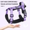 Professional AntiEscape Reflective Dog Harness With Control Handle 0