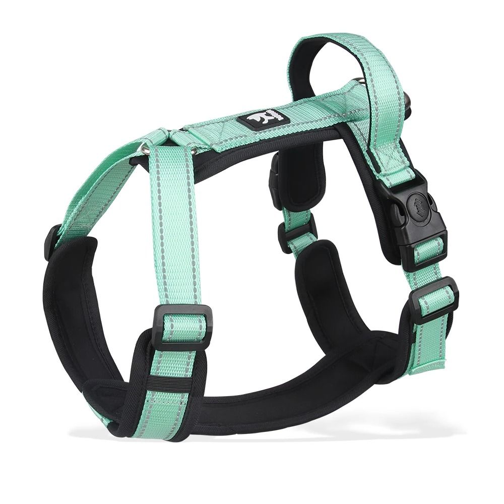 Professional AntiEscape Reflective Dog Harness With Control Handle 9