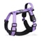 Professional AntiEscape Reflective Dog Harness With Control Handle 7