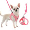 Professional Adjustable Reflective Kitten Chest Strap Leash Set 0