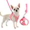 Professional Adjustable Reflective Kitten Chest Strap Leash Set 1