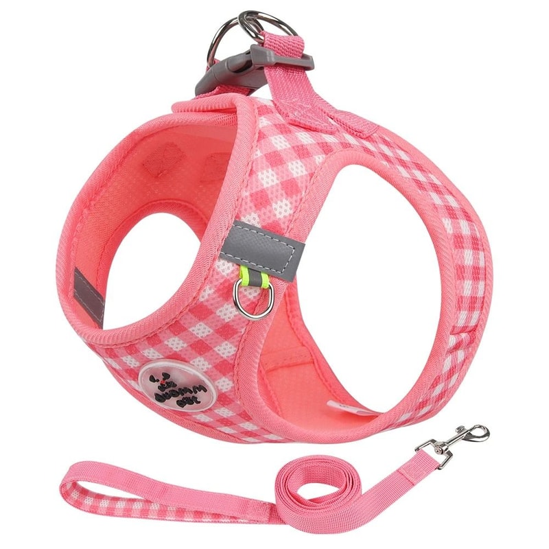 Professional Adjustable Reflective Kitten Chest Strap Leash Set 10