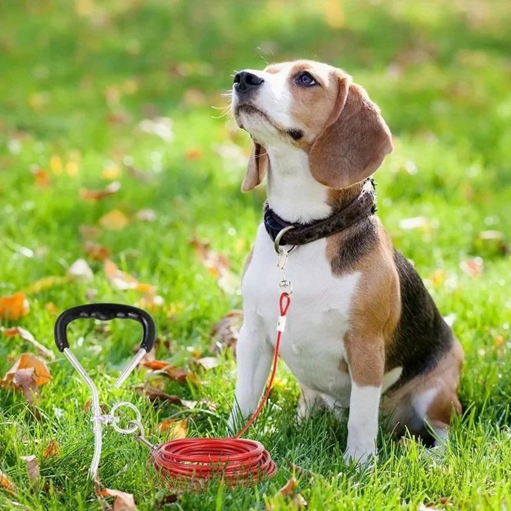 Professional Heavy Duty DoubleEnded Steel Wire TieOut Cable 2