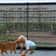 Professional Folding Mesh Pet Safety Gate And Isolated Barrier 4