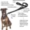 Professional HeavyDuty DualHandle Reflective Safety Leash 1