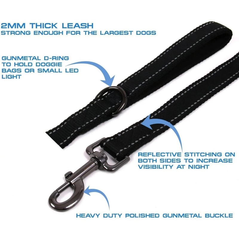 Professional HeavyDuty DualHandle Reflective Safety Leash 2