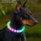 Professional RGB Discolor Glowing Pet Safety Collar 0
