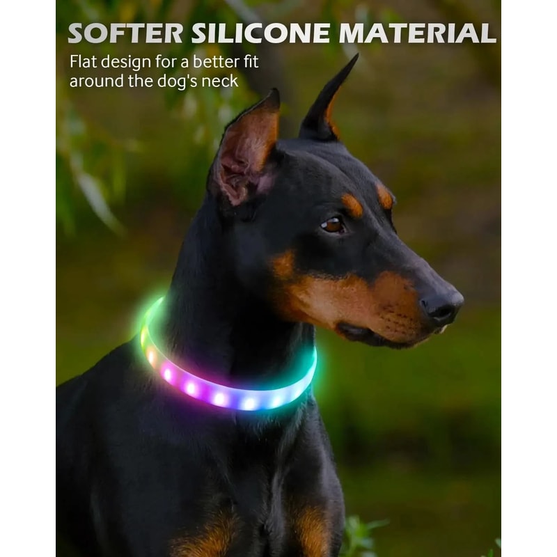 Professional RGB Discolor Glowing Pet Safety Collar 1
