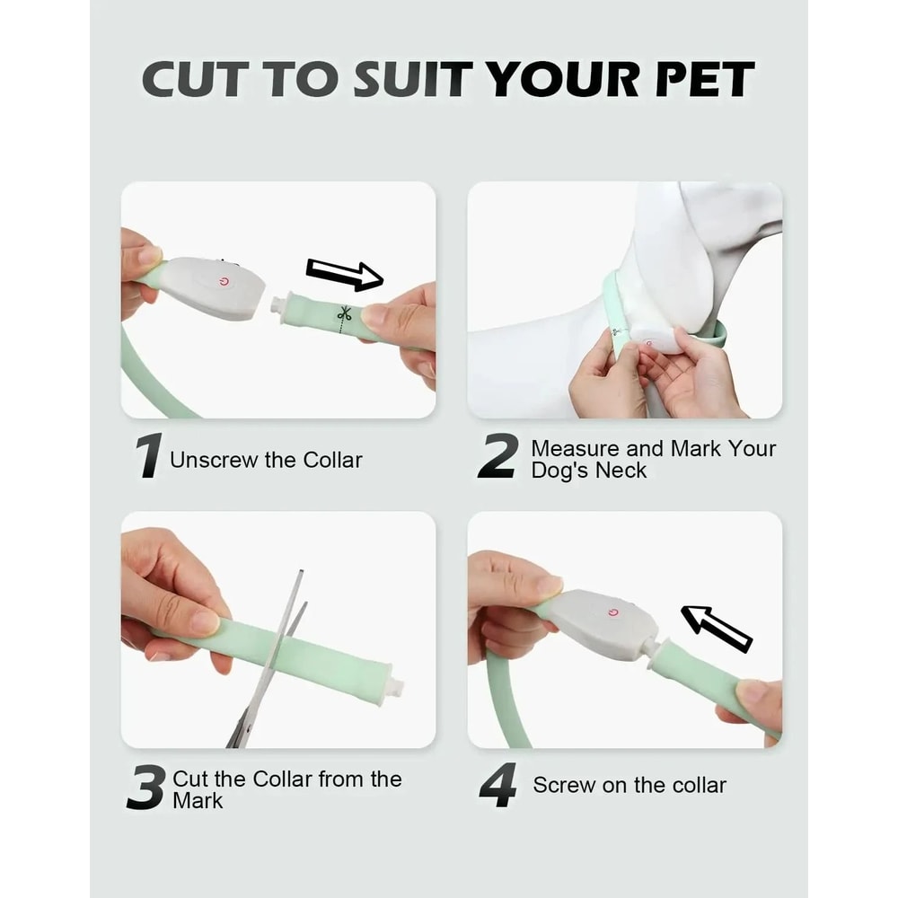 Professional RGB Discolor Glowing Pet Safety Collar 2
