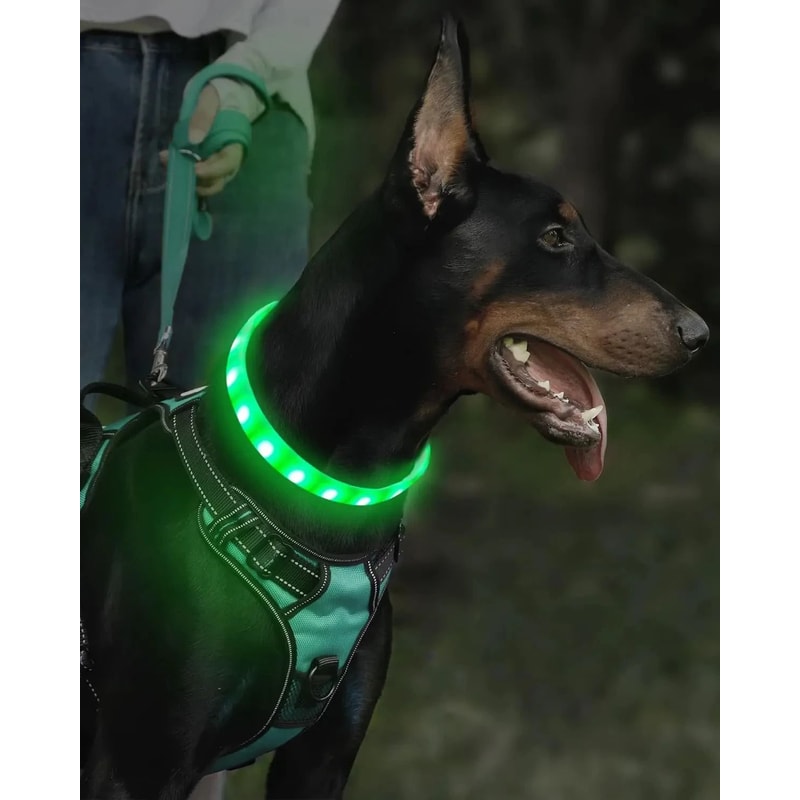 Professional RGB Discolor Glowing Pet Safety Collar 5