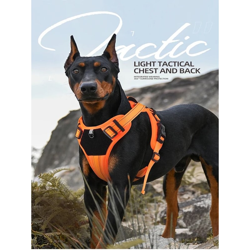 Professional Tactical NoPull Reflective Dog Harness Vest 0