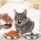 Professional Stainless Steel SlipResistant Cat Bowl Set 1