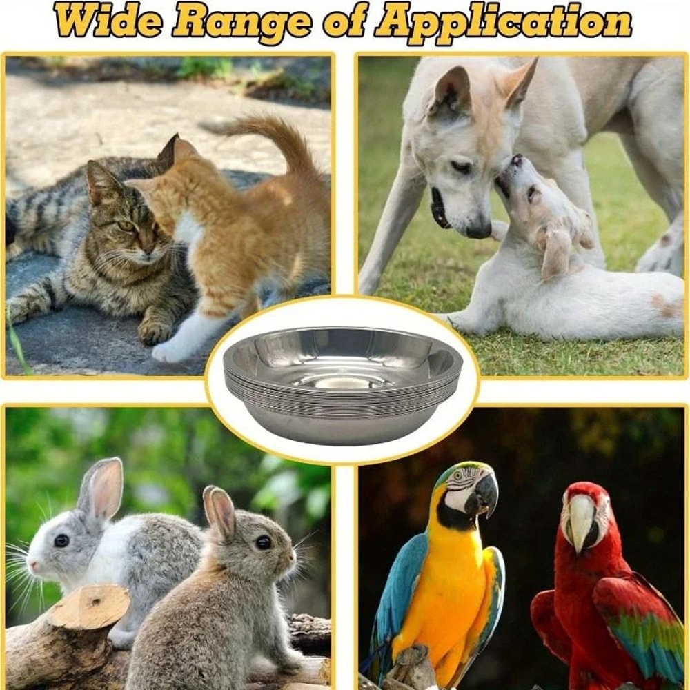 Professional Stainless Steel SlipResistant Cat Bowl Set 2